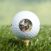 Balles De Golf Dane (T-shirt Insitu)