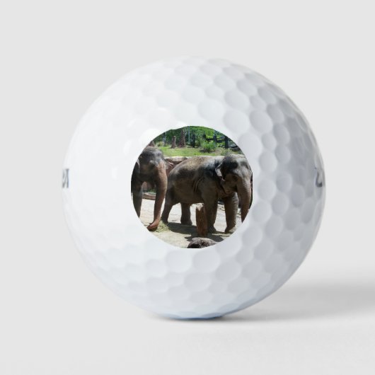 Balles De Golf Deux éléphants (Devant)