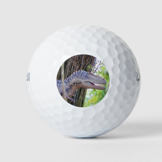 Balles De Golf Dinosaur Amusant - Daspletosaur Golf Balls (Devant)