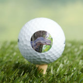 Balles De Golf Dinosaur Amusant - Daspletosaur Golf Balls (T-shirt Insitu)