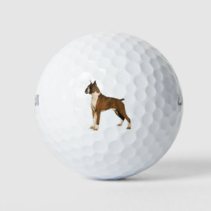 Balles De Golf Directeur de la boîte