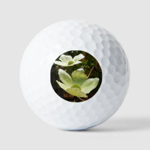 Balles De Golf Dogwoods et séquoias dans le parc national Yosemit