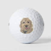 Balles De Golf Doodle doré d'abricot (Devant)