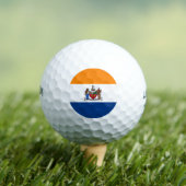 Balles De Golf Drapeau d'Albany, New York (T-shirt Insitu)