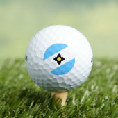 Balles De Golf Drapeau de Madison, Wisconsin Golf Balls (T-shirt Insitu)