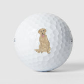 Balles De Golf Dudley Labrador (Devant)