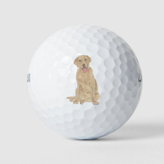 Balles De Golf Dudley Labrador (Devant)