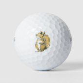 Balles De Golf Écureuil (Devant)