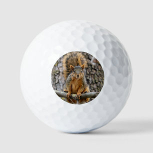 Balles De Golf Écureuil de renard
