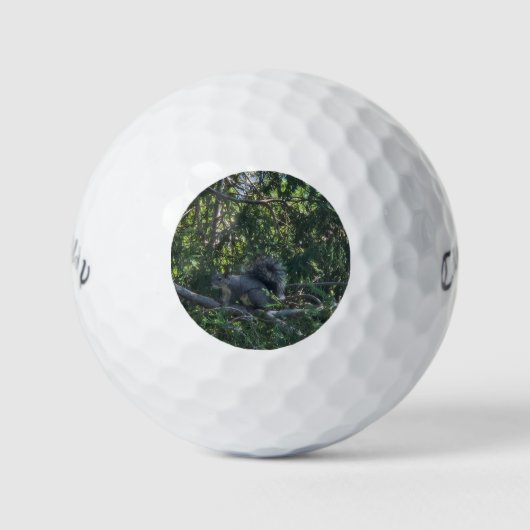Balles De Golf Écureuil gris (Devant)
