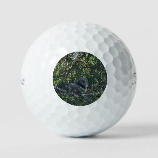 Balles De Golf Écureuil gris (Recto)