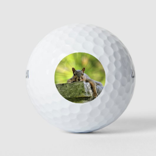 Balles De Golf Écureuil relaxant (Devant)