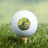 Balles De Golf Écureuil relaxant (T-shirt Insitu)