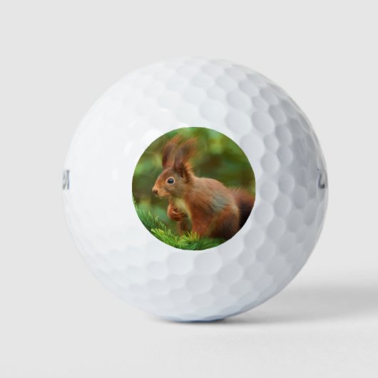 Balles De Golf Écureuil sur un arbre (Devant)