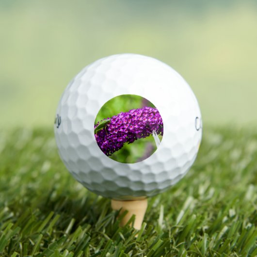 Balles De Golf énergie katydone (T-shirt Insitu)