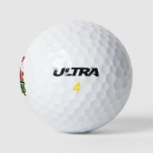 Balles De Golf Enseignement Rétro Dirigeants Futurs Enseignant Éc (Logo)