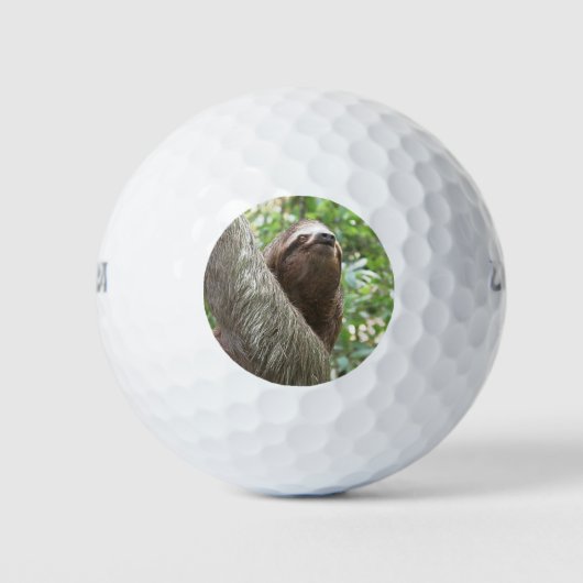 Balles De Golf Escalade Sloth (Devant)