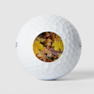 Balles De Golf Fallen Maple Feuille Jaune Automne Nature