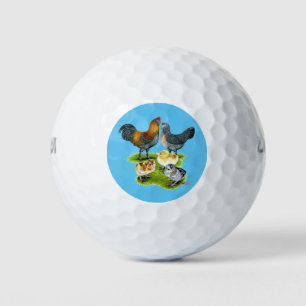 Balles De Golf Famille de poulets Ameraucana