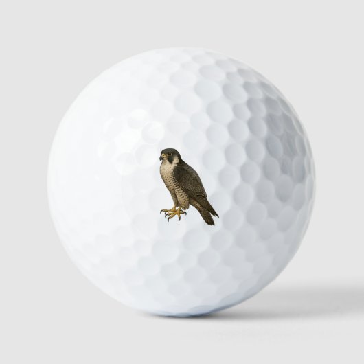 Balles De Golf Faucon pèlerin (Recto)
