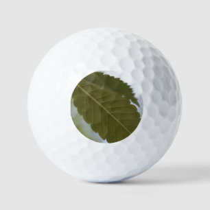 Balles De Golf feuille verte méditer nature jardin branche photo 