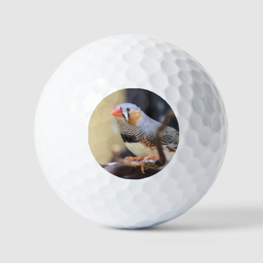 Balles De Golf Finch (Recto)