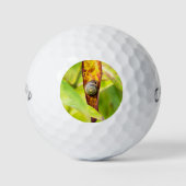 Balles De Golf fixation calme (Devant)