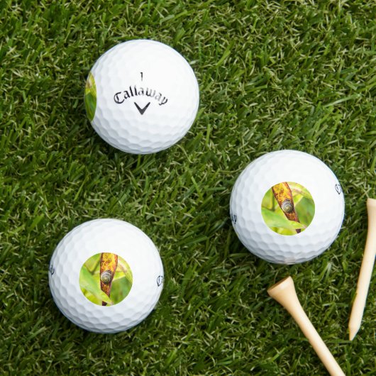 Balles De Golf fixation calme (Herbe in situ)