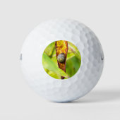 Balles De Golf fixation calme (Devant)