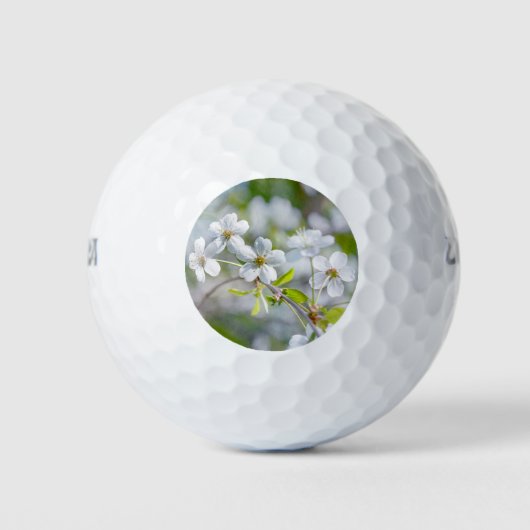 Balles De Golf Fleur cerise blanche (Devant)