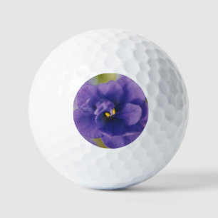 Balles De Golf Fleur de fleurs bleues de Violet Saintpaulia Zoomé