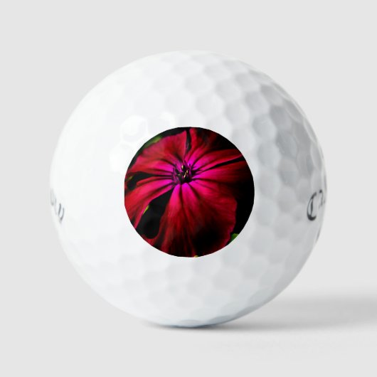 Balles De Golf Fleur sauvage violette css gbcnm (Recto)