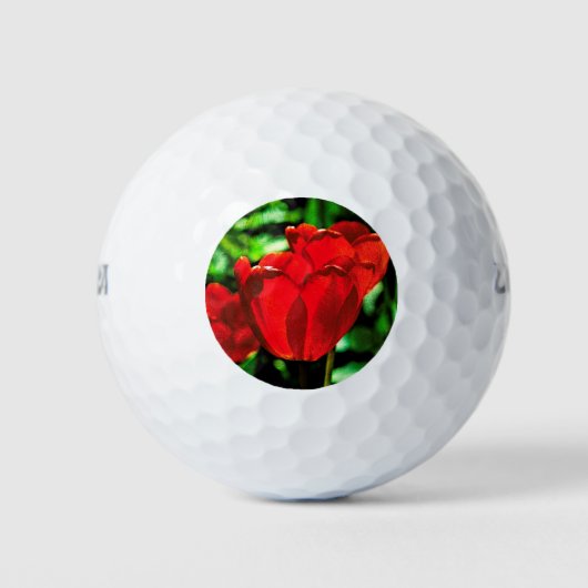 Balles De Golf Fleurs de tulipes rouges (Devant)