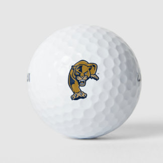 Balles De Golf Florida International University Panthers