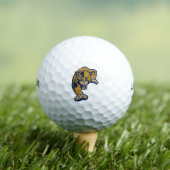 Balles De Golf Florida International University Panthers (T-shirt Insitu)