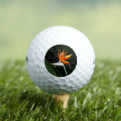 Balles De Golf Flower tropical orange paradise (T-shirt Insitu)