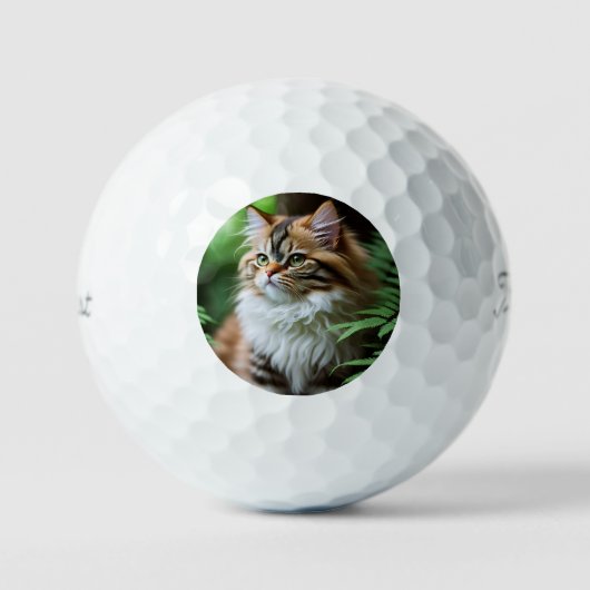 Balles De Golf "Fluff and Cuddles : The Chubby Persian Cat" (Recto)
