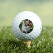 Balles De Golf "Fluff and Cuddles : The Chubby Persian Cat" (T-shirt Insitu)