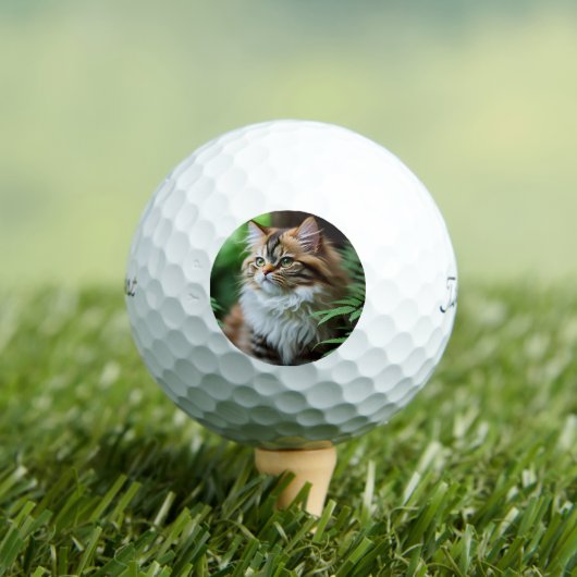 Balles De Golf "Fluff and Cuddles : The Chubby Persian Cat" (T-shirt Insitu)