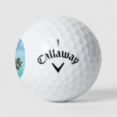 Balles De Golf Forêt tropicale toucane colorée (Logo)