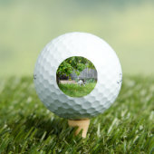 Balles De Golf Fox Terrier Funny Scare Face (T-shirt Insitu)