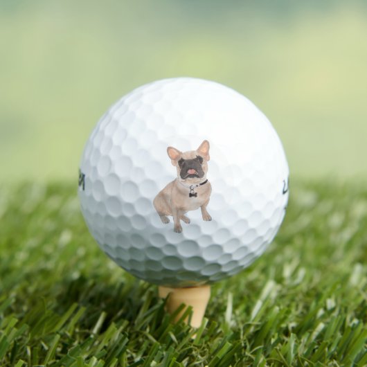 Balles De Golf Fran French Bulldog masqué (T-shirt Insitu)