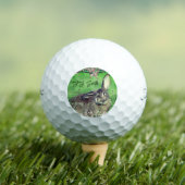 Balles De Golf Fun 12 Pack Hare Rabbit animal personnalisé (T-shirt Insitu)