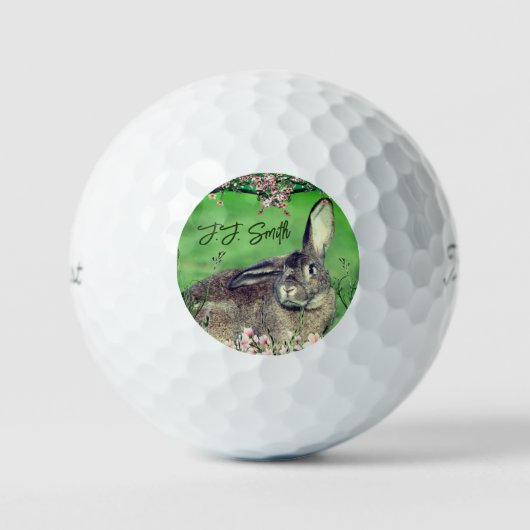Balles De Golf Fun 12 Pack Hare Rabbit animal personnalisé (Recto)