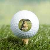 Balles De Golf Fun Fox Squirrel Golf Balls (T-shirt Insitu)