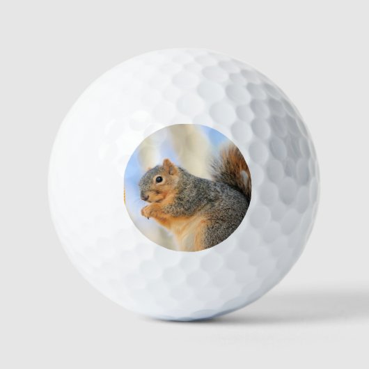 Balles De Golf Furball d'aujourd'hui (Recto)