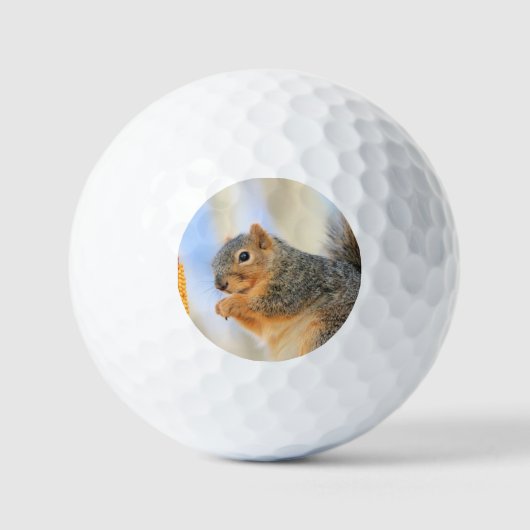 Balles De Golf Furball d'aujourd'hui (Recto)