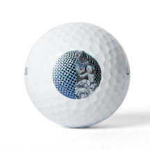 Gardien du royaume numérique