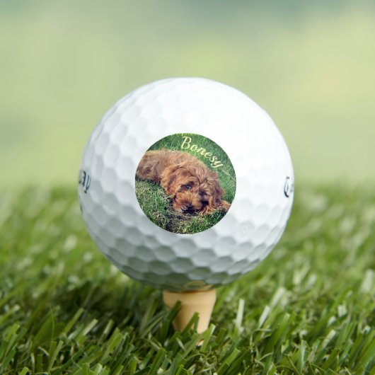 Balles De Golf Golden Doodle Callaway Soft Golf Balls (T-shirt Insitu)