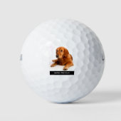 Balles De Golf Golden Retriever (Devant)
